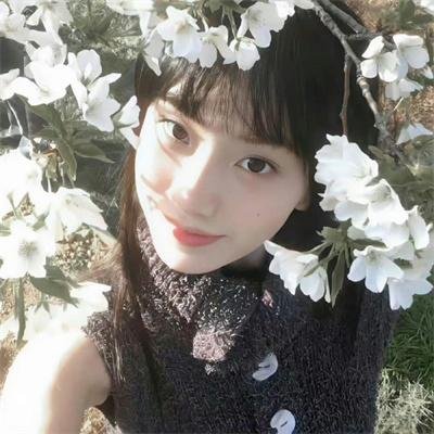 聚宝盆